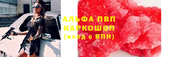 ПСИЛОЦИБИНОВЫЕ ГРИБЫ Козловка