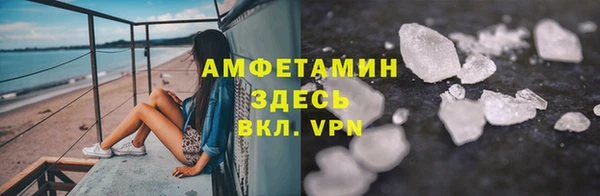 ПСИЛОЦИБИНОВЫЕ ГРИБЫ Козловка