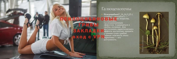ПСИЛОЦИБИНОВЫЕ ГРИБЫ Козловка
