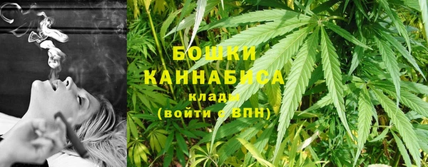 ПСИЛОЦИБИНОВЫЕ ГРИБЫ Козловка