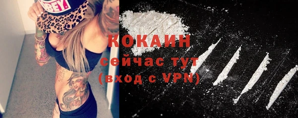 ПСИЛОЦИБИНОВЫЕ ГРИБЫ Козловка