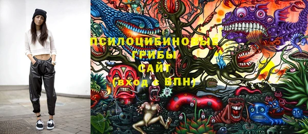 ПСИЛОЦИБИНОВЫЕ ГРИБЫ Козловка
