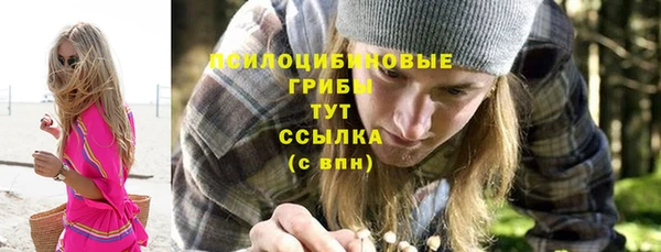 ПСИЛОЦИБИНОВЫЕ ГРИБЫ Козловка