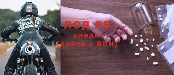 ПСИЛОЦИБИНОВЫЕ ГРИБЫ Козловка