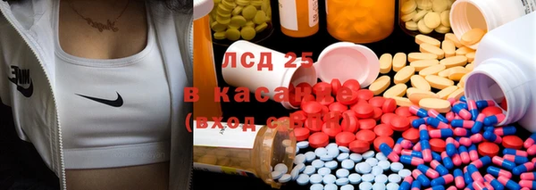 ПСИЛОЦИБИНОВЫЕ ГРИБЫ Козловка