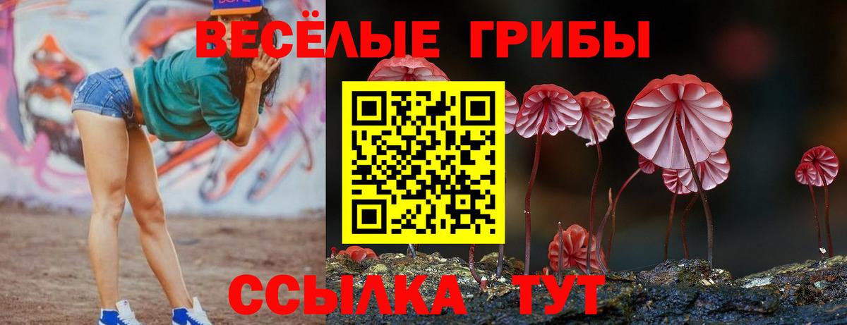 купить закладку  Псилоцибиновые грибы мицелий  Вход с VPN  Новоуральск 