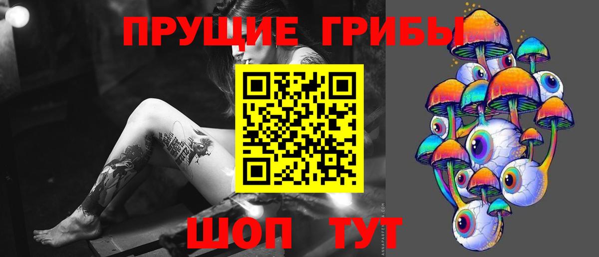 Псилоцибиновые грибы Psilocybe Новоуральск